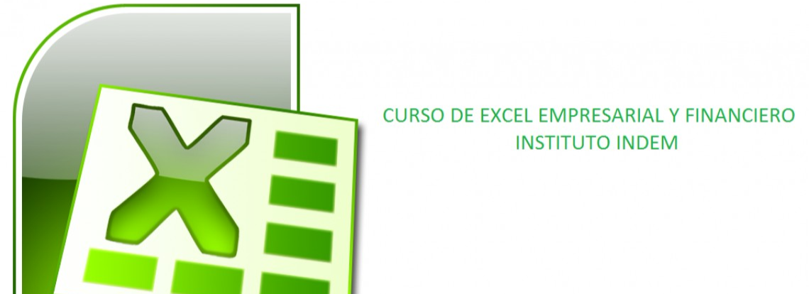 Business and financial Excel course